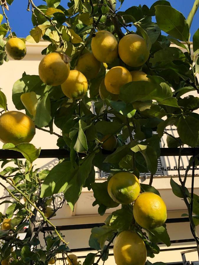 Bed and Breakfast Il Giardino Di Nonno Agostino à Castellammare di Stabia Extérieur photo