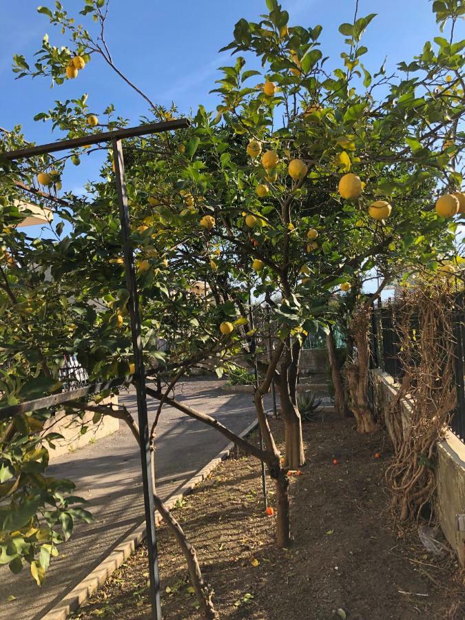 Bed and Breakfast Il Giardino Di Nonno Agostino à Castellammare di Stabia Extérieur photo